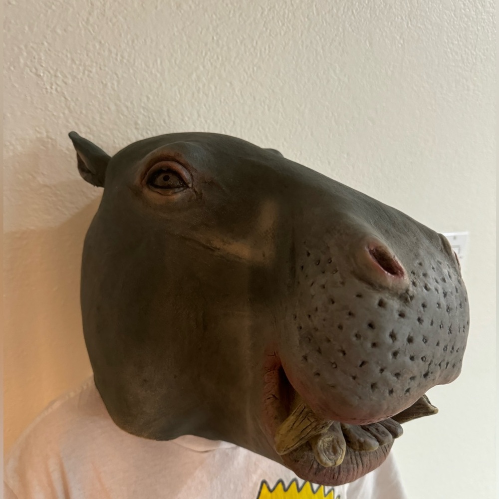 Hippo mask